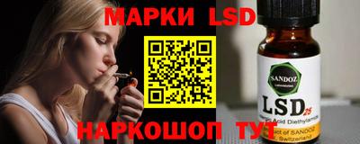 молекула духа Будённовск