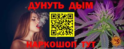 молекула духа Будённовск