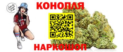 молекула духа Будённовск