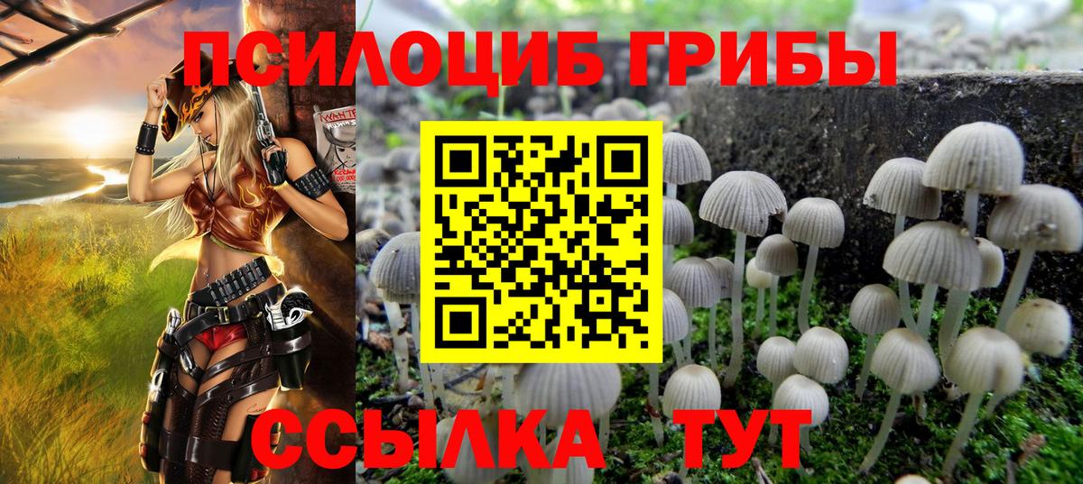 Псилоцибиновые грибы Psilocybe Лесной