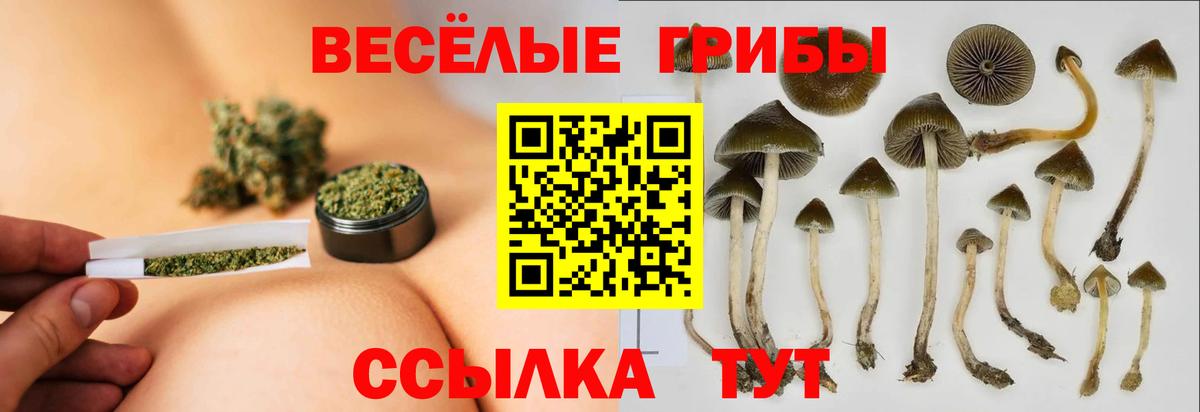Лесной  Галлюциногенные грибы ЛСД  где купить наркоту  Вход с VPN 
