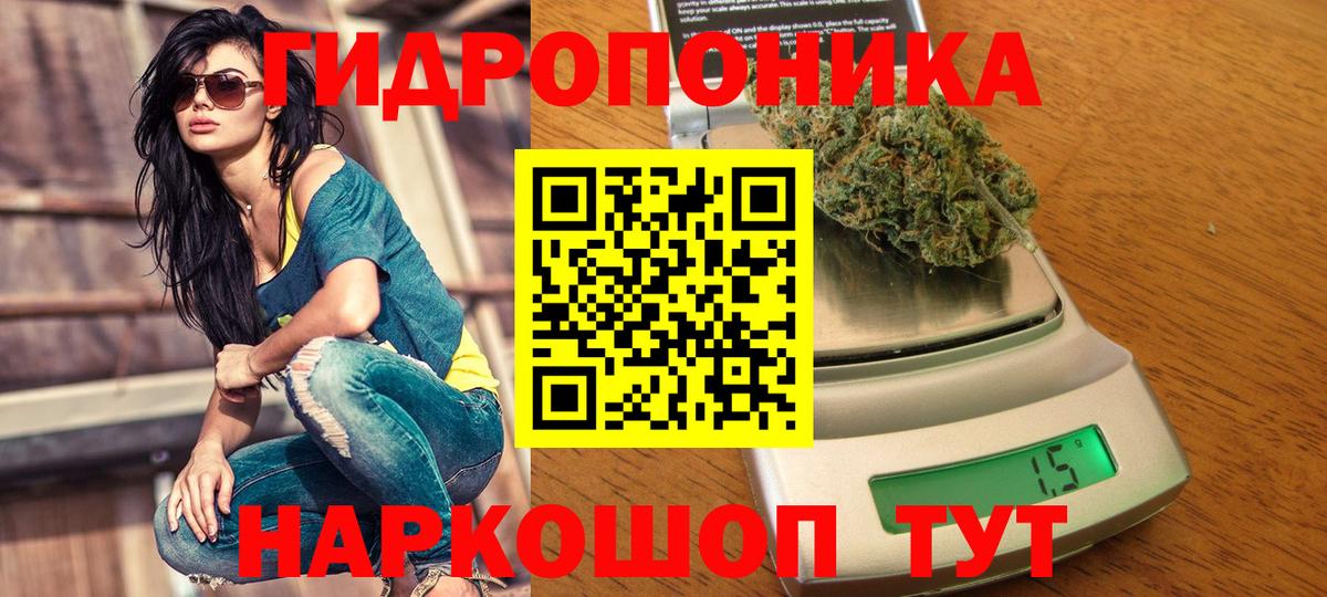 Конопля SATIVA & INDICA  Марихуана план  Вход с VPN  МАРИХУАНА ГИДРОПОН  Лесной  МАРИХУАНА тримм 